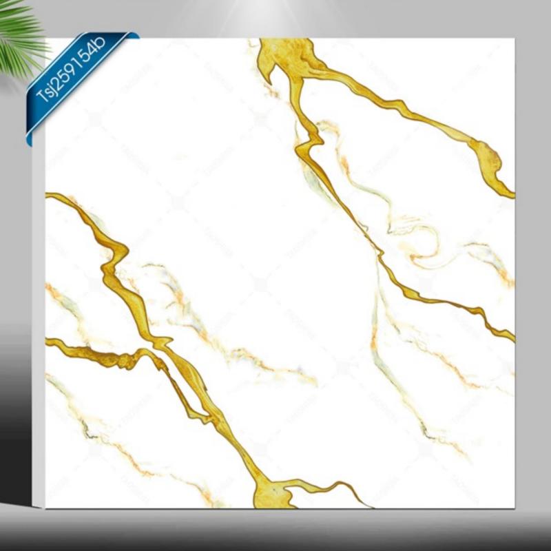 Modern Living Room Polished Porcelain Tile